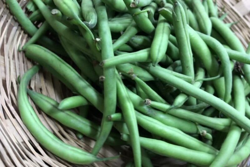 green beans bucket