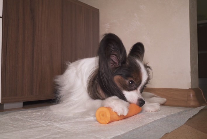 green beans carrot